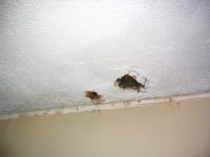 repair-a-cracked-ceiling